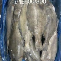 山东鲽鱼
