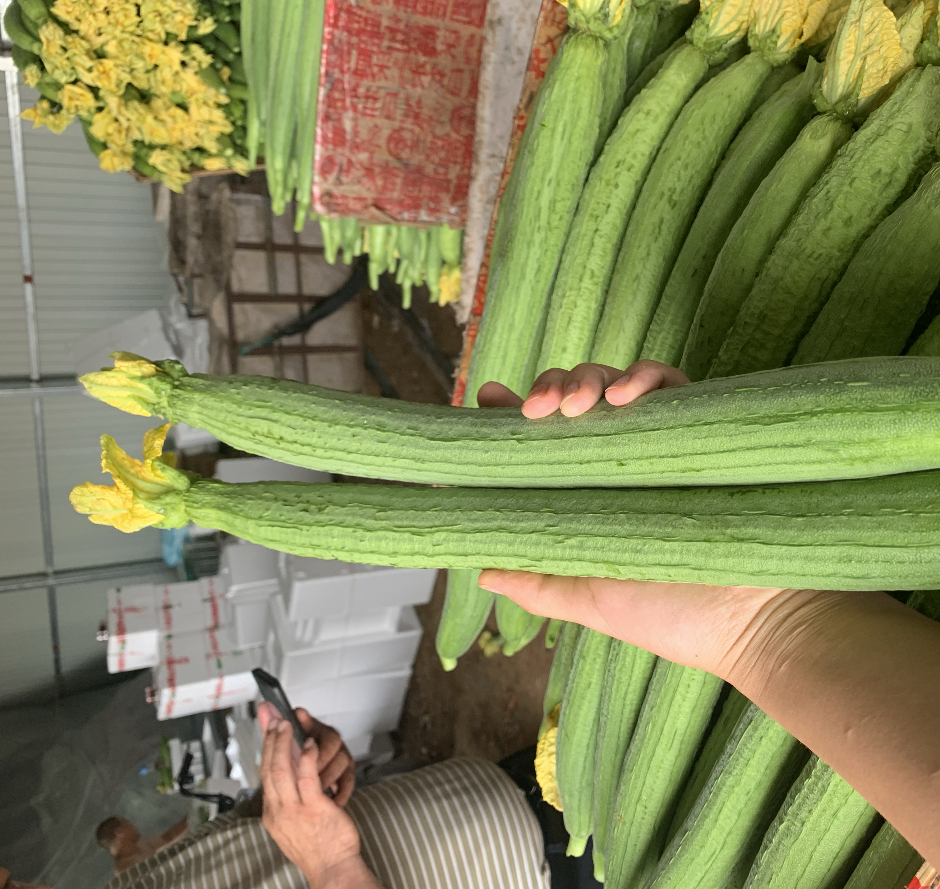 展示丝瓜的三种健康烹饪方式:清炒、煮汤、凉拌,配以食材与成品图 丝瓜家常做法图解