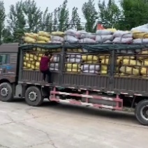中高温果木碳烧烤碳