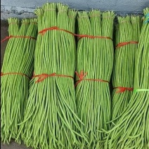 豇豆油豇豆无筋豆四季豆四季豆扁豆