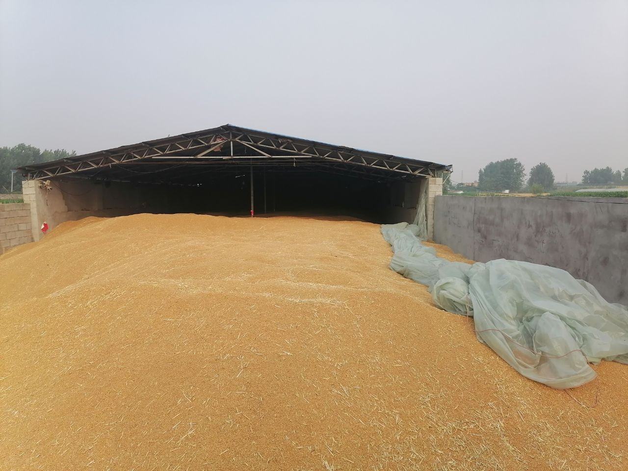 粮仓防潮垫层铺设示意图