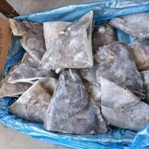 格陵兰鲽鱼