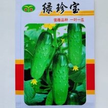 清香水果黄瓜种子强雌性黄瓜品种一叶一瓜春秋瓜果种子南北方