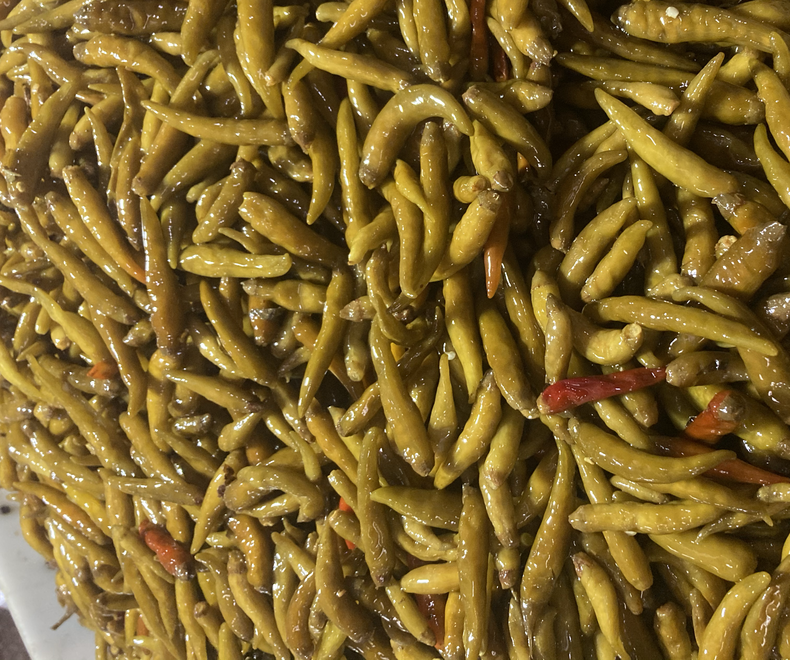 酱油泡椒食用场景图:一碗刚出锅的手擀面,顶部撒有切碎的红亮酱油泡椒和翠绿葱花,旁边小碟盛放整根泡椒作为开胃小菜,体现其多样吃法,背景温馨居家 一碗热腾腾的手工面条,上面铺着切段的酱油泡椒和葱花,汤色清亮,旁边搭配一小碟切好的泡椒佐餐小菜