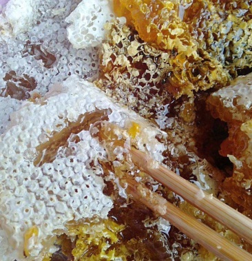 [土蜂蜜批发]农家土蜂蜜原蜜价格60.00元/斤 - 一亩田