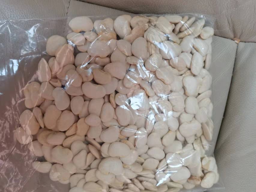 白扁豆存储方法示意图