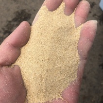 除尘稻壳粉常年大量有货