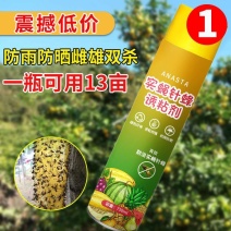 【送粘板】瓜果实蝇诱粘剂针蜂引诱诱捕器果树菜地害虫防治粘