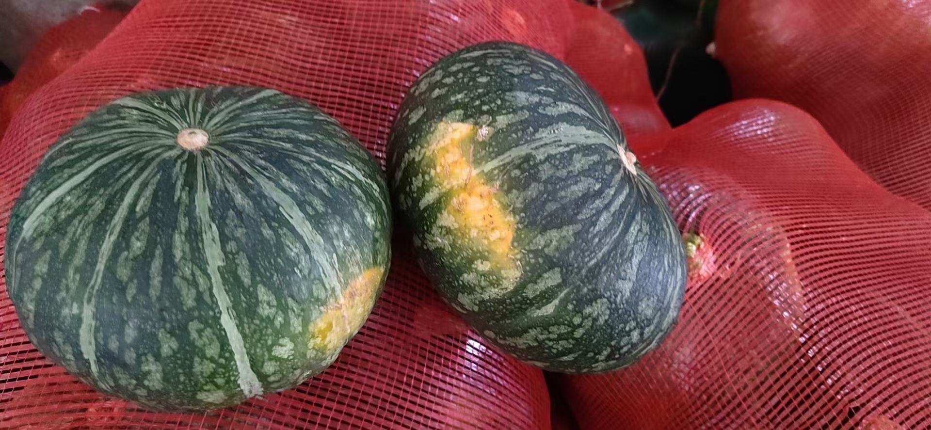 两个小型南瓜并列摆放,左侧为绿贝贝南瓜,表皮呈深绿色带浅绿条纹,表面光滑;右侧为典型板栗南瓜(如贝贝一号),颜色为墨绿至深褐色,表皮略粗糙,有轻微棱线。背景为田园土壤环境,用于直观展示两者在外观上的差异 绿贝贝与普通板栗南瓜对比图