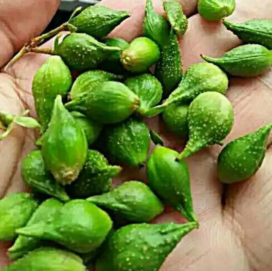 图片说明:市售的小儿青翘颗粒包装,适用于3岁以上儿童服用 小儿青翘颗粒成品图