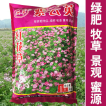 紫云英种子绿肥红花草籽翘摇畜禽牧草景观芽苗野菜养蜂蜜源