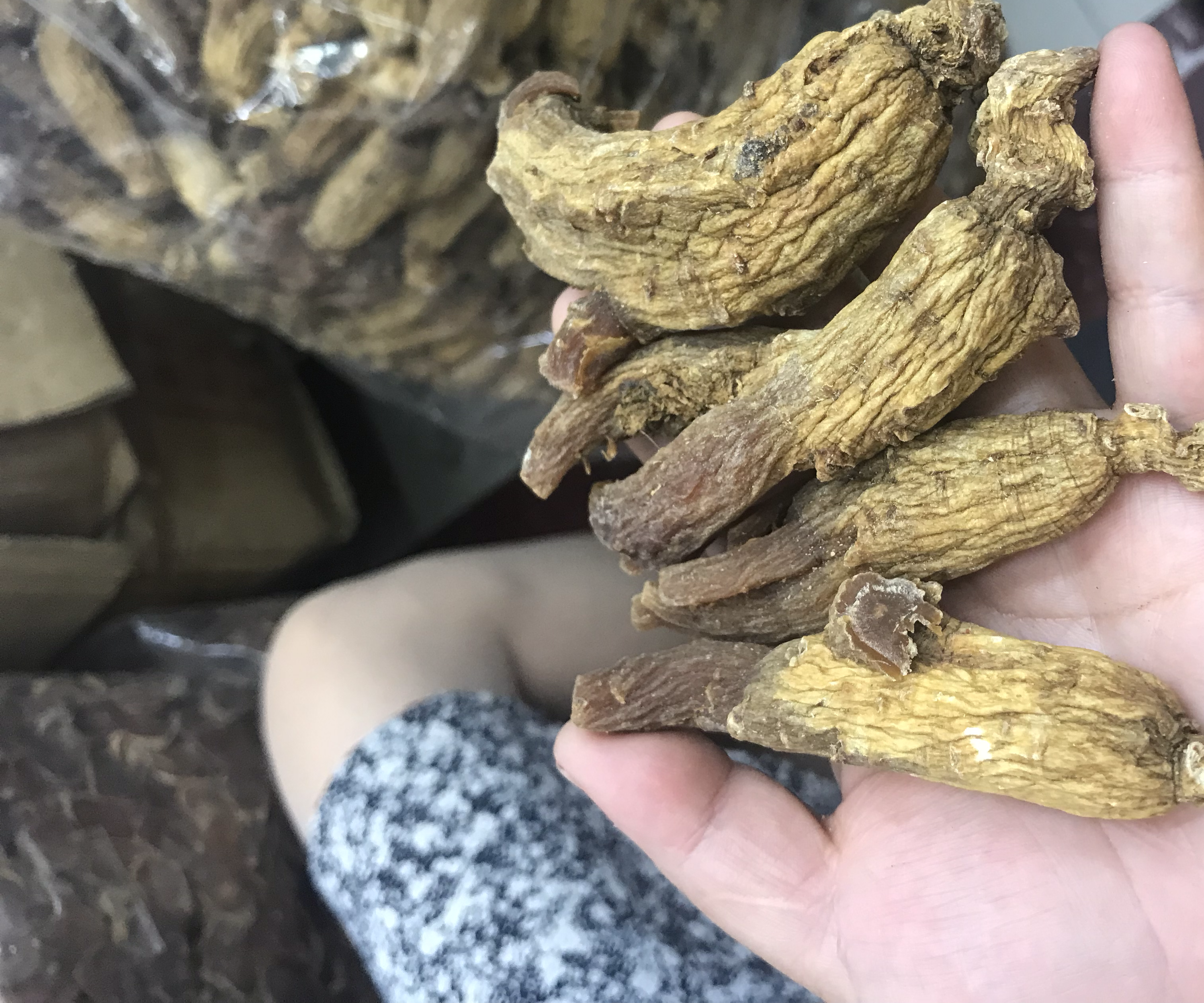 高丽参的药理作用示意图