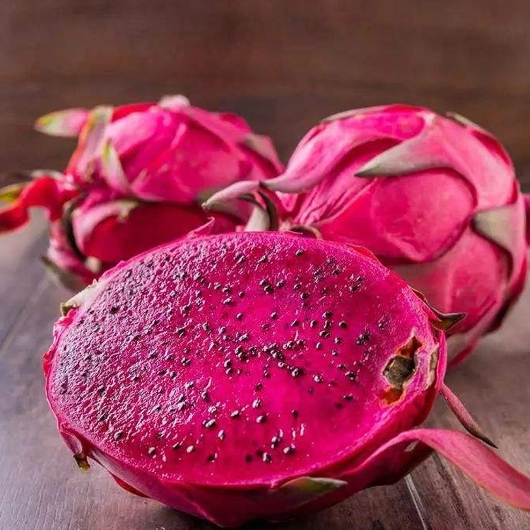 蜜宝火龙果特写