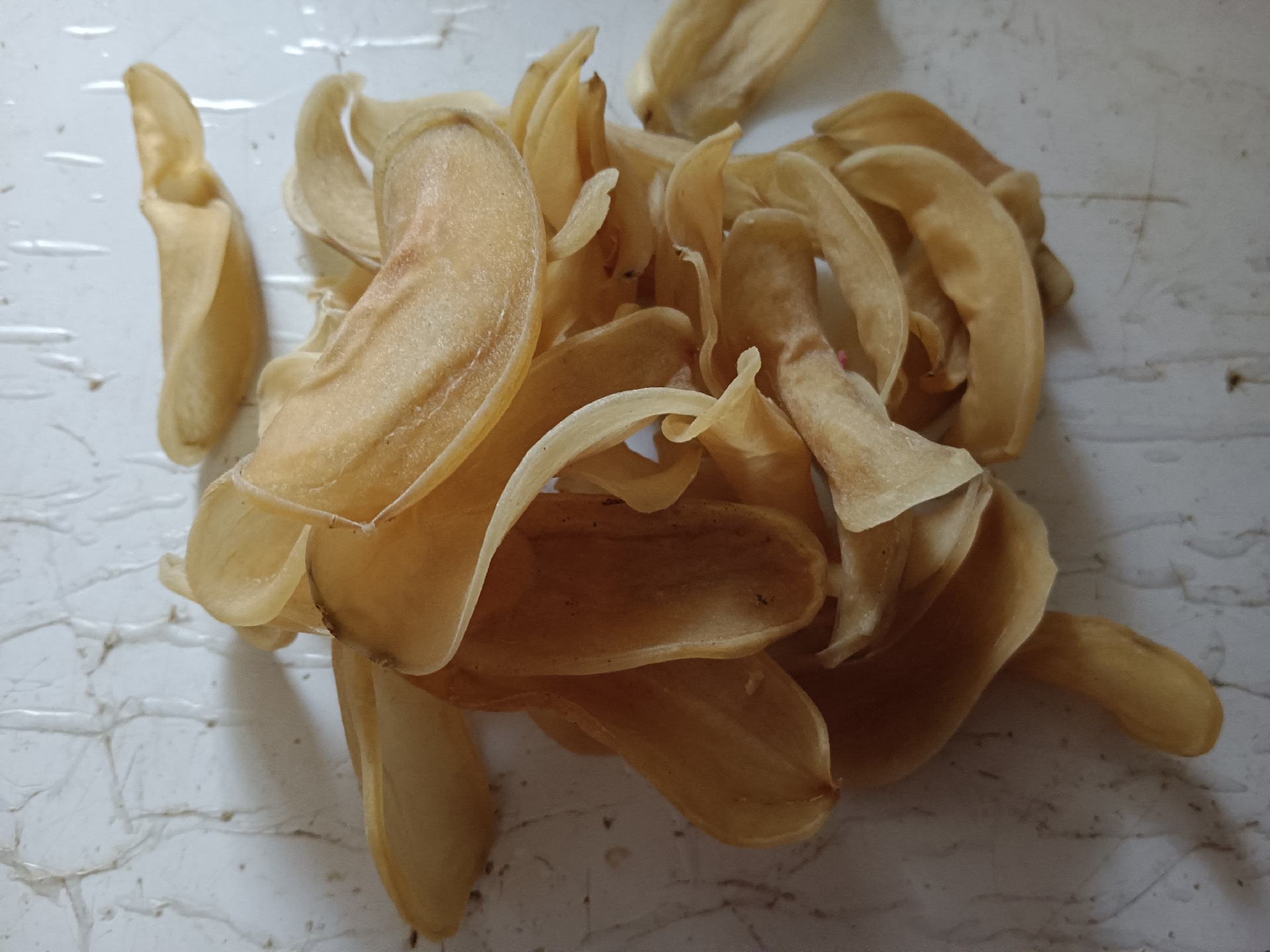 干土豆片冷水泡发过程
