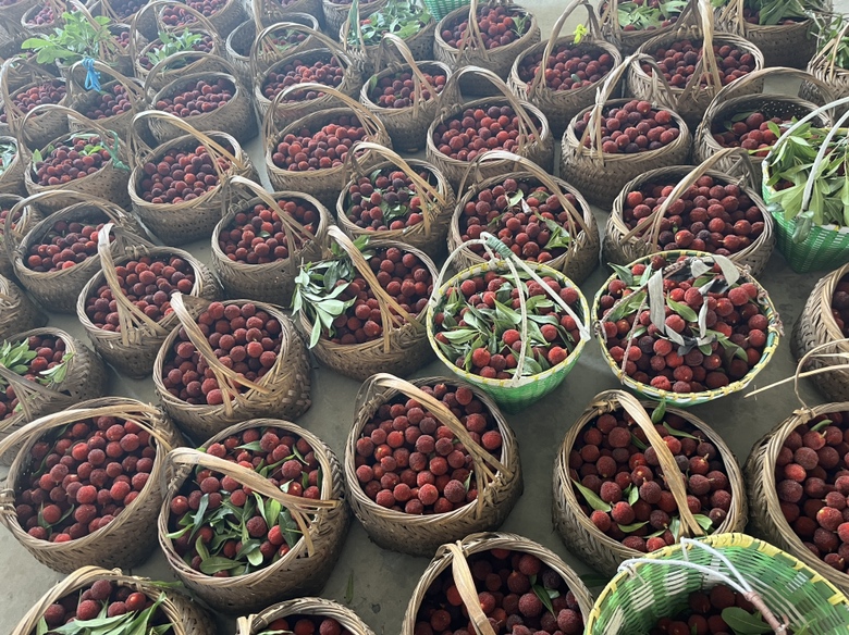 展示消费者在市场购买东魁杨梅,脸上露出满意的笑容 东魁杨梅与消费者互动场景