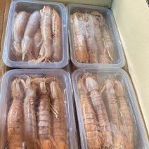 皮皮虾。虾爬子肉