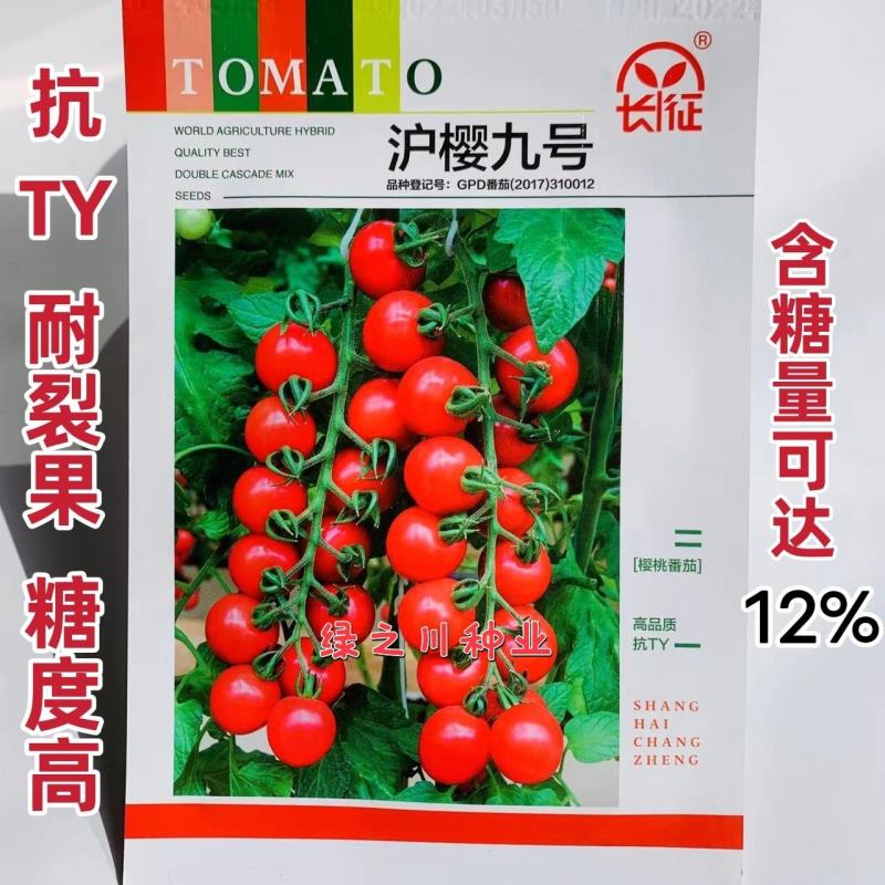 番茄种子批发市场深度观察：从品种选择到供应链管理的专业指南