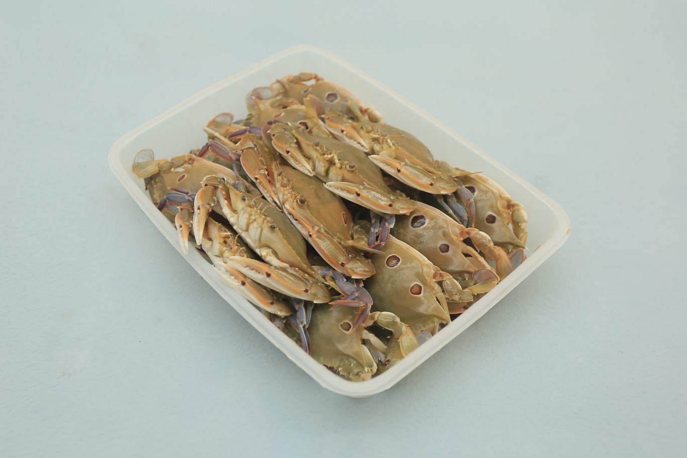 清蒸远海梭子蟹，保留原汁原味