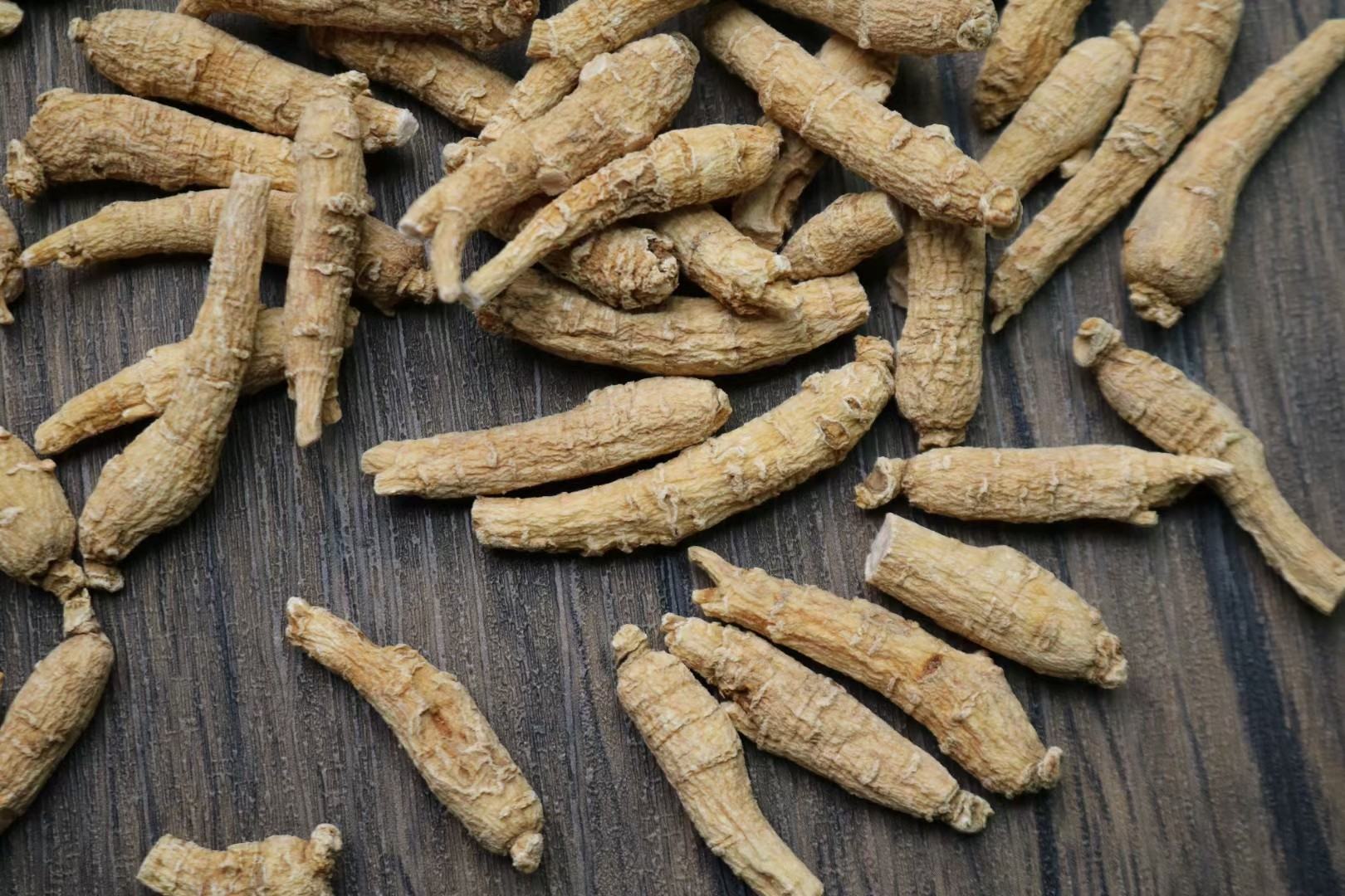 干燥锁阳药材展示,背景为沙漠地貌,体现其生长环境 锁阳药材展示