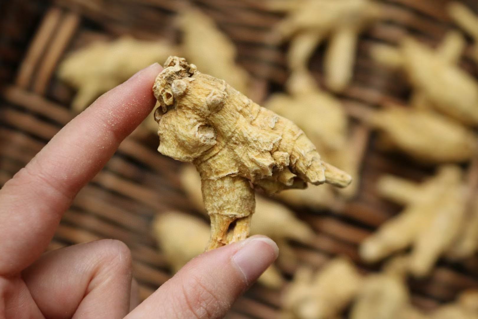 白芷泡水适用人群图