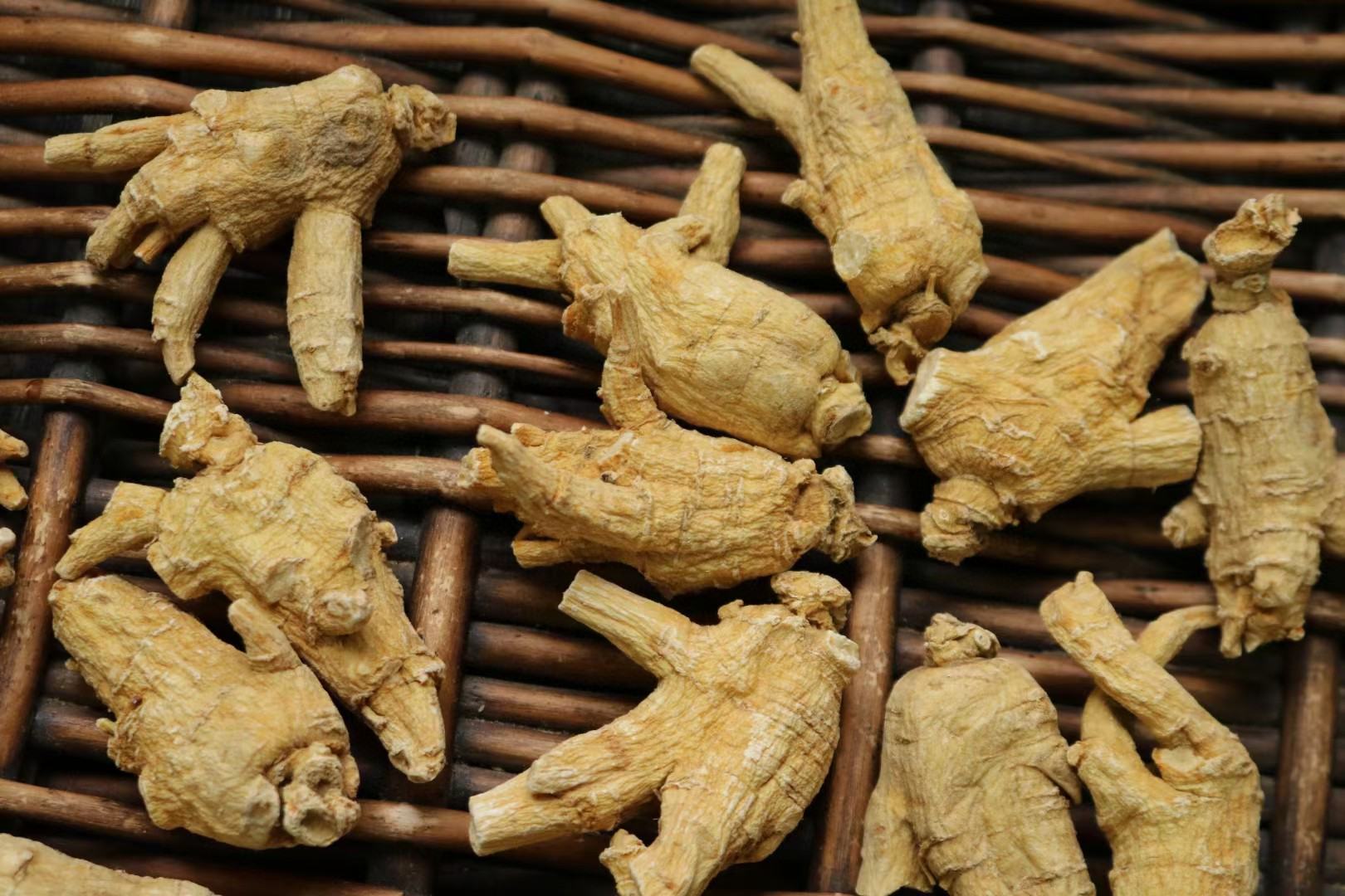 一家高档中药铺内的西洋参展区,玻璃柜中陈列着不同产地的西洋参产品:左侧为贴有USA Flag标识的花旗参礼盒,中间为加拿大枫叶标志包装,右侧为中国本土品牌。每盒附有成分检测报告复印件,顾客正在咨询药师 西洋参市场销售场景