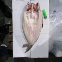 开背巴沙鱼新鲜活鱼整条无刺湄公鱼烤鱼凌波鱼海鲜冷冻