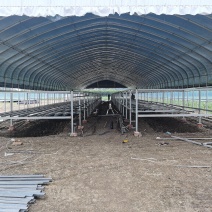 新型养殖大棚养羊棚养牛通用大棚全国发货包建