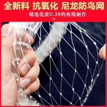 尼龙防鸟网天网驱鸟网果树樱桃葡萄果园农田养殖鱼塘大棚养殖