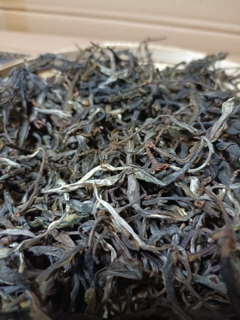 临沧忙肺古树茶