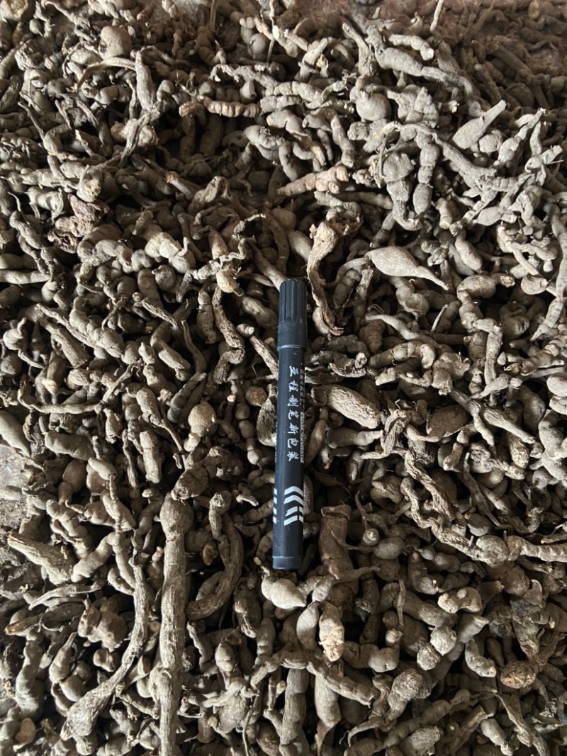 三叶青石猴子石老鼠猴仙丹