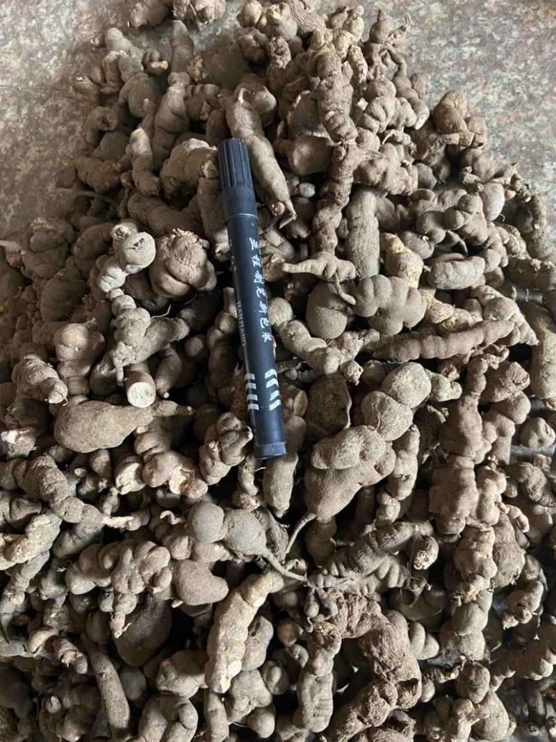 三叶青石猴子石老鼠猴仙丹