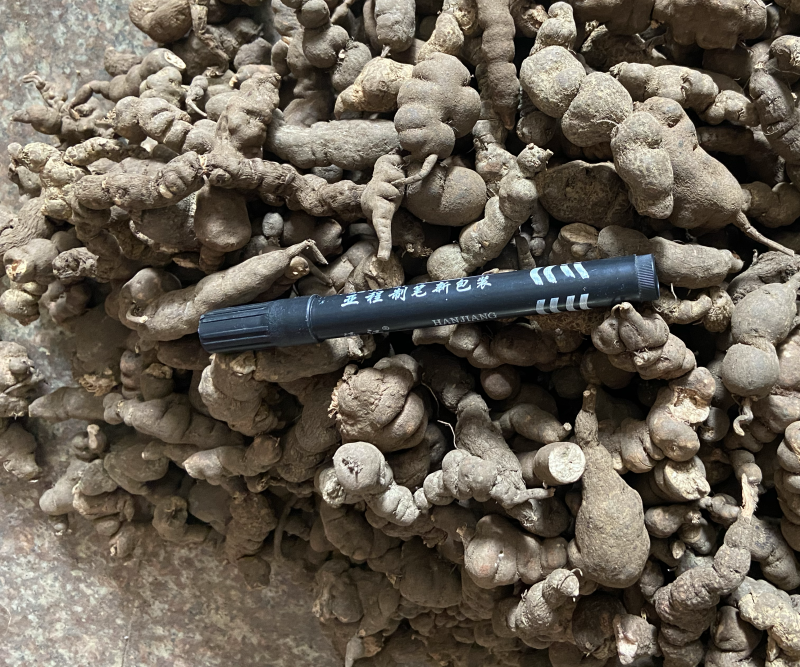 三叶青石猴子石老鼠猴仙丹