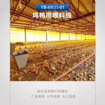 全套鸡用自动水线饮水器养殖设备养鸭用品鸡用自动饮鸡鸭水线