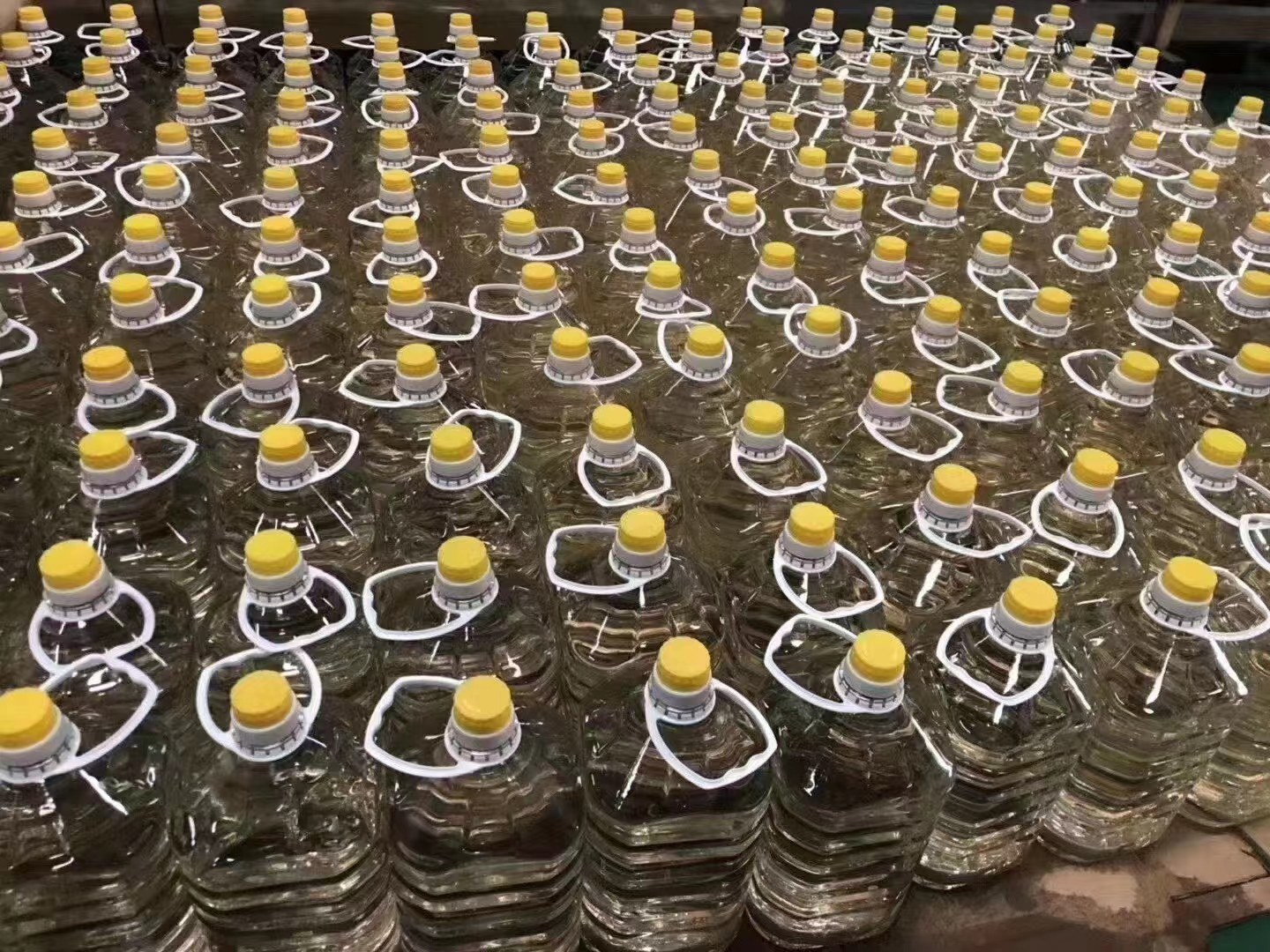 展示一瓶包装精美的福杏老酒42度清香型,瓶身标注品牌与度数,背景为果园或酒厂 福杏酒瓶装成品展示