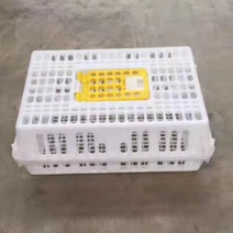 鸡笼周转箱塑料运输笼鸡筐家禽周转箱成小鸡鸭鹅鸽子笼兔笼养