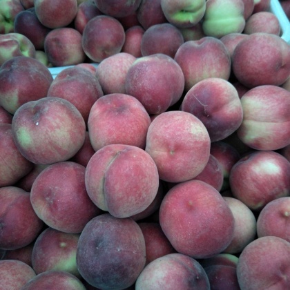 冷链全国,接市场,电商平台大红袍毛桃 毛桃产地直销 个头大口感好