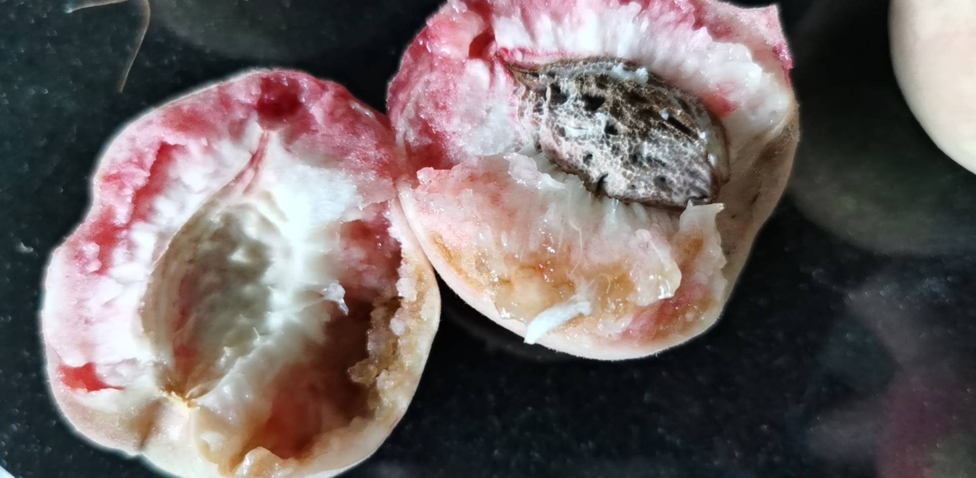 油桃与水蜜桃果肉剖面图