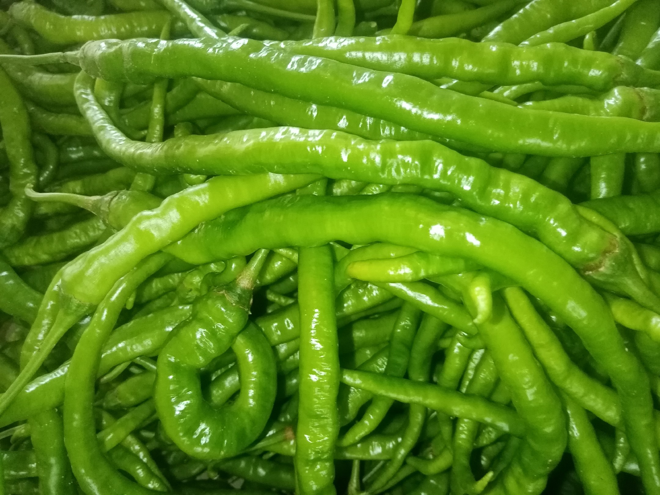 线椒与牛柳食材摆放整齐的特写照片