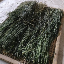 干豆角