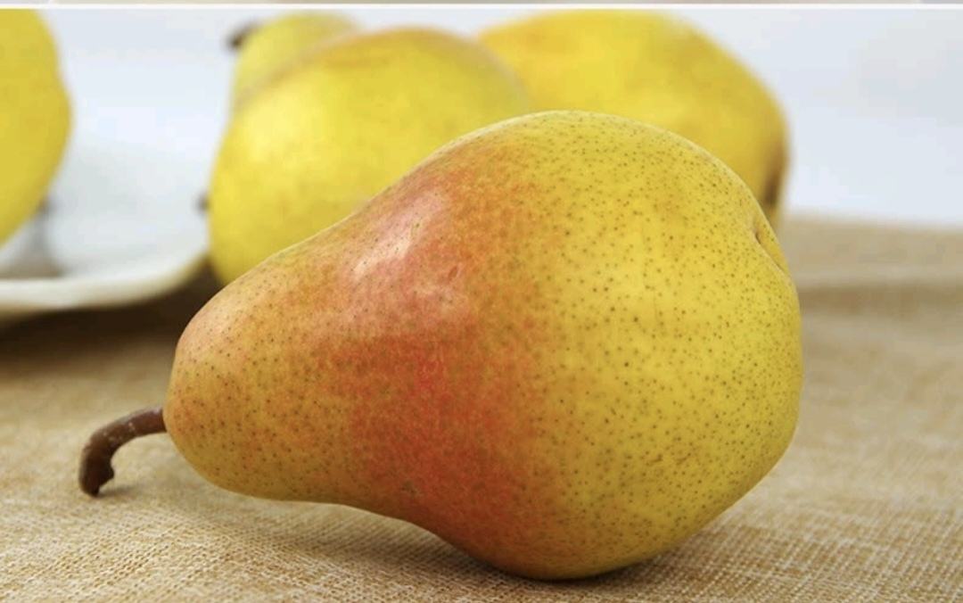 单个成熟南果梨特写