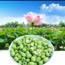 新鲜水果莲蓬