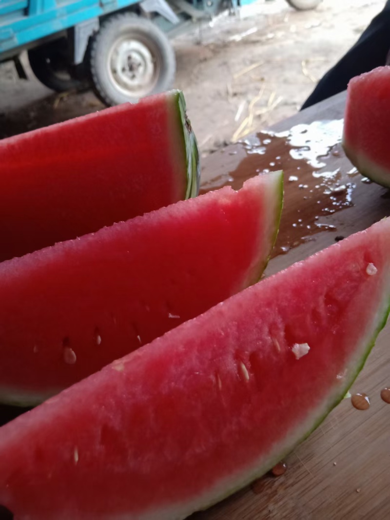 宁夏硒砂石缝瓜,开始大量接单.有需要的可以联系我