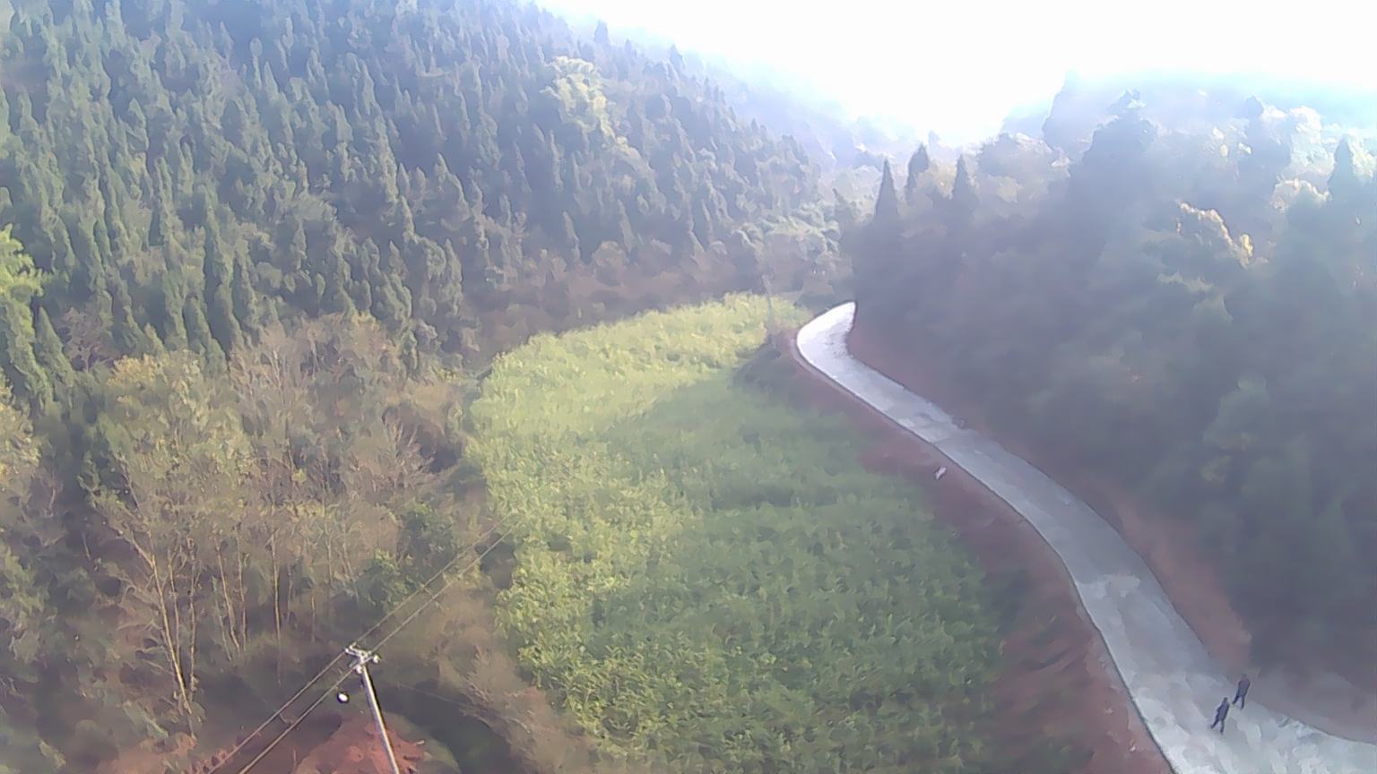 展示在山地玉米田中铺设轨道运输玉米的场景 山地玉米运输轨道铺设示意图