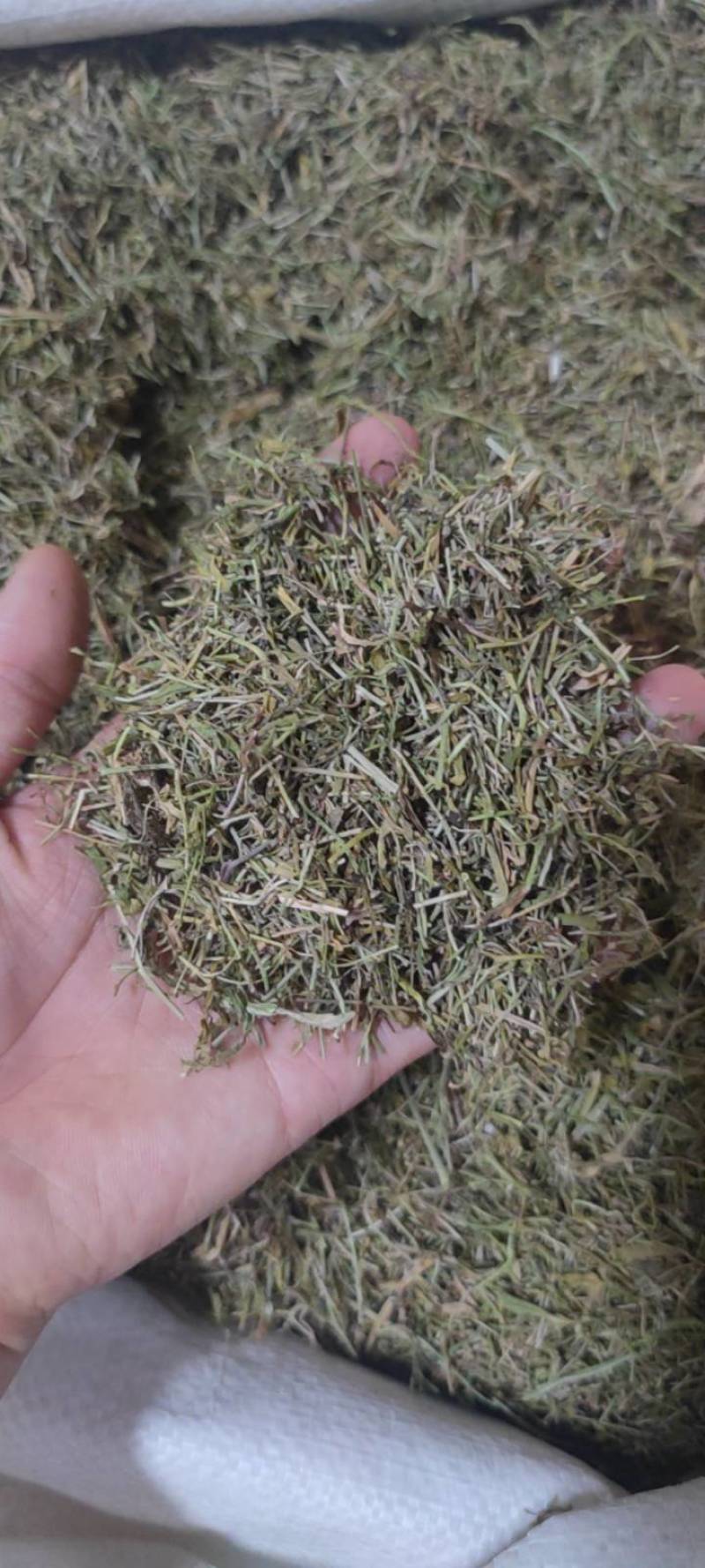 半边莲 净货 新货 草药大全 各种中药材批发