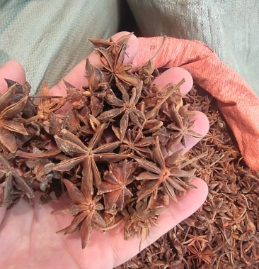 [春花八角批发]八角价格1050.00元/公斤 - 一亩田