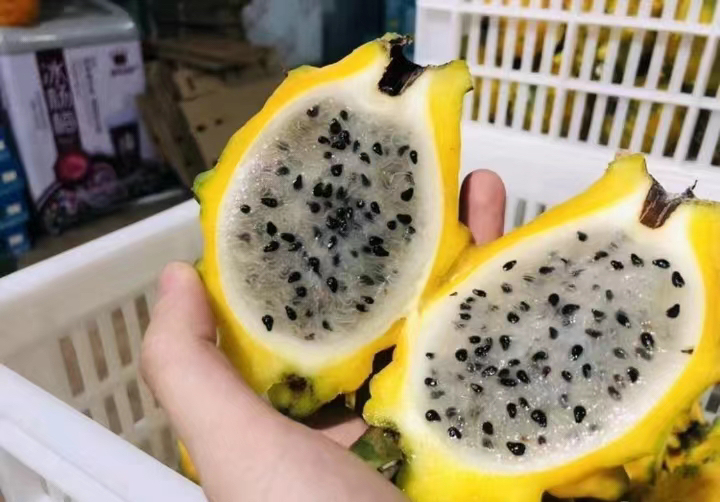 黄皮火龙果切开展示