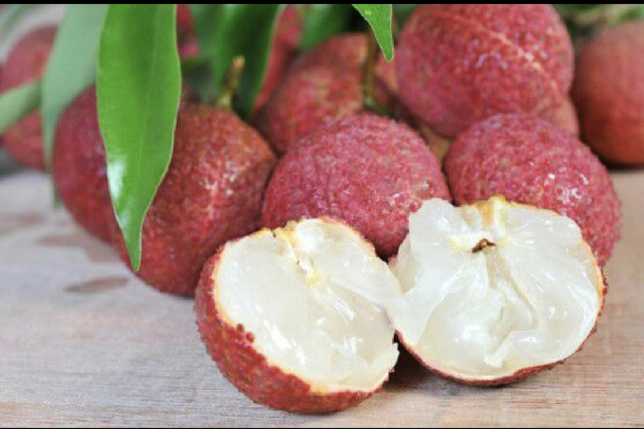 无核荔枝成熟果实特写