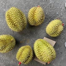 金枕头榴莲批发便宜地摊货新老店铺做活动