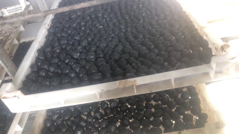 传统中药房中的熟地黄饮片陈列