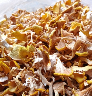 [鸡油菌批发]鸡油菌干品,现货价格41.00元/斤 - 一亩田